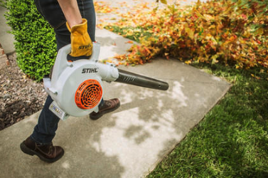 Rokā turamie lapu pūtēji