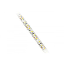 LED lente FLASH 2835, 600 LED, 4000K, 60W, IP65, 10mm, 5m spole, DC12V LD-2835-600-65-NE4 GTV