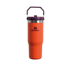 Termokrūze ar salmiņu The IceFlow Flip Straw Tumbler 0,89L oranža