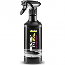 Autoklaaside ja peeglite puhastusvahend 500 ml RM650 KARCHER