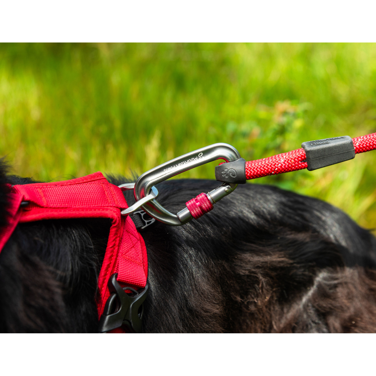 Rope Lead, R743107, 743107 MOUNTAIN PAWS