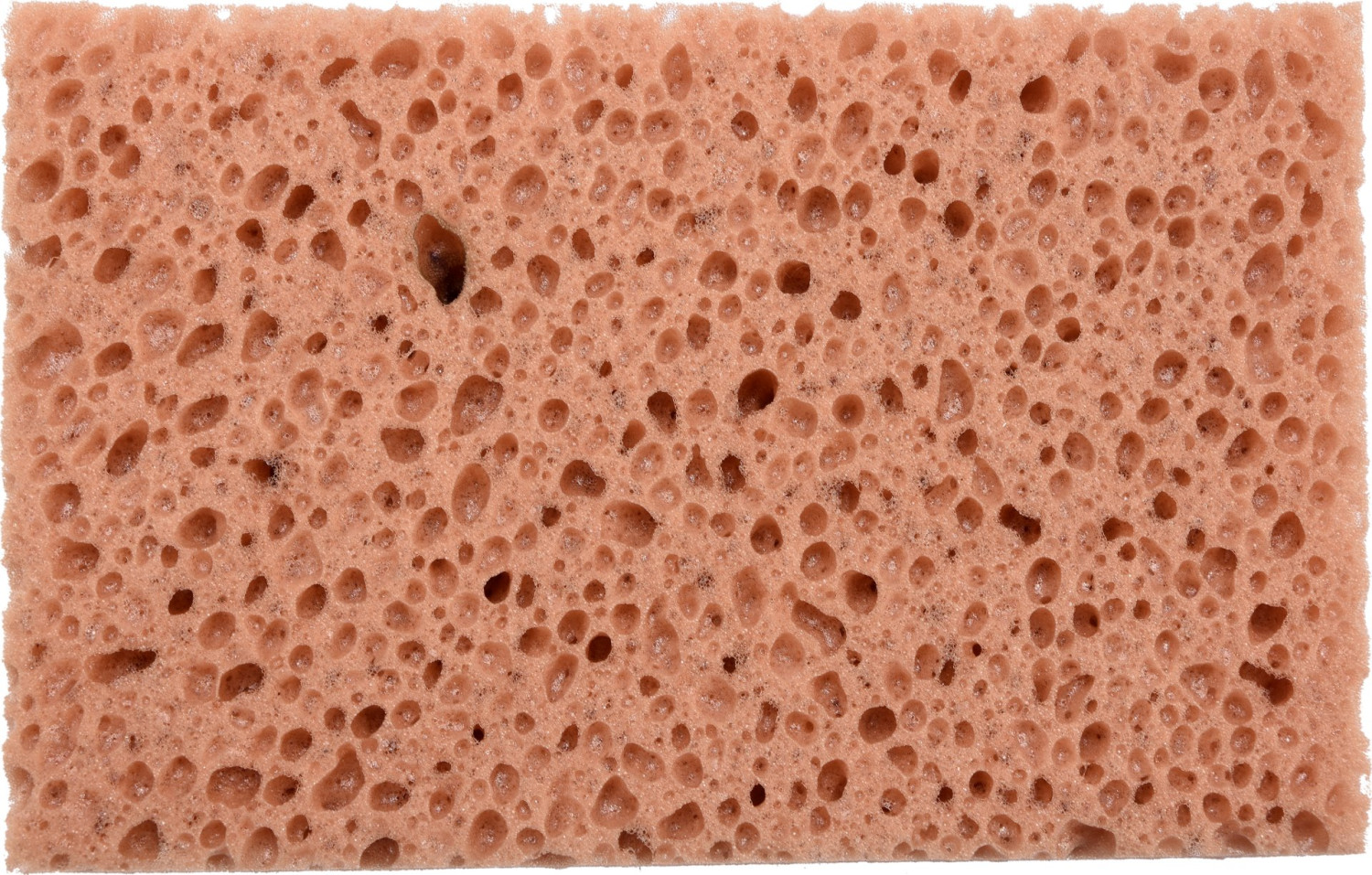 HYDROPHILIC SPONGE 170x110x60MM 04542 VOREL