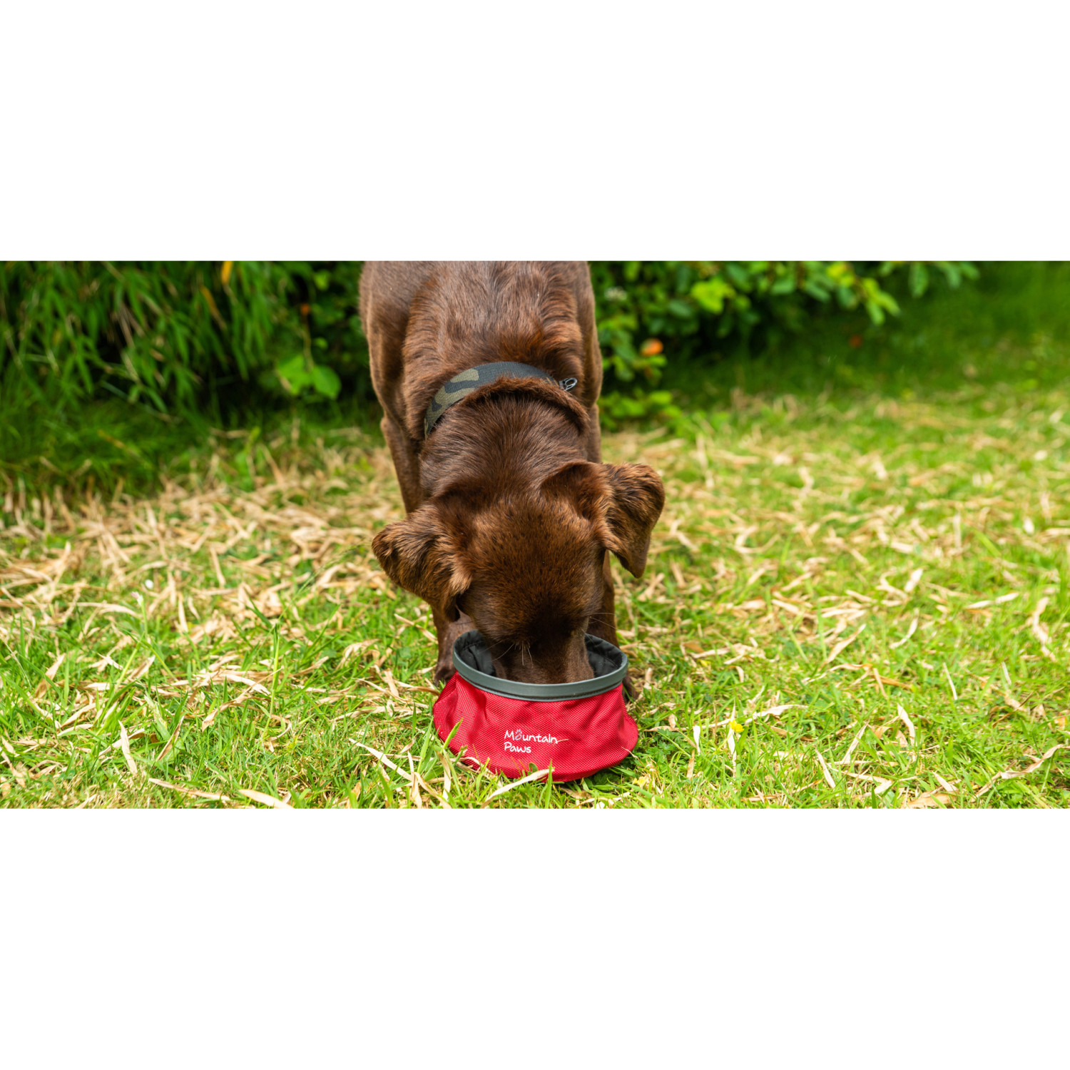 Dog Water Bowl, R742507, 742507 MOUNTAIN PAWS