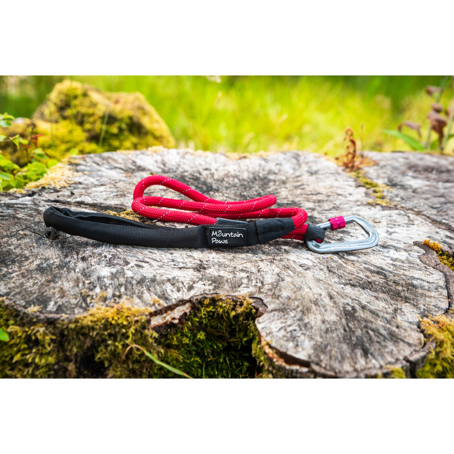 Rope Lead, R743107, 743107 MOUNTAIN PAWS