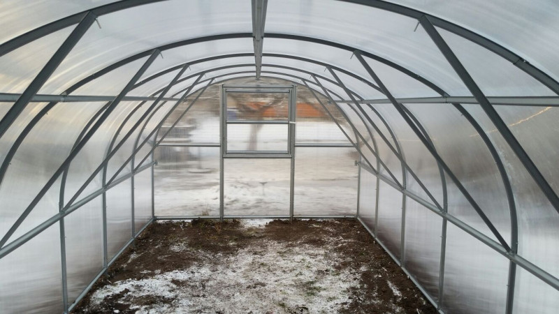 Siltumnīca BALTIC LT 3 x 8m - 6mm polikarbonāta 4779037491278 KLASIKA GREENHOUSE