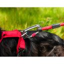 Rope Lead, R743107, 743107 MOUNTAIN PAWS