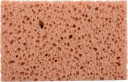 HYDROPHILIC SPONGE 170x110x60MM 04542 VOREL