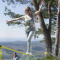 Juostos rinkinys CLASSICLINE 19848 GIBBON SLACKLINES