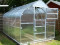 Siltumnīca KLASIKA STANDART 20 - 2,5 x 8m - 4mm polikarbonāta KLASIKA GREENHOUSE