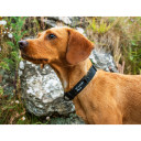 Dog Collar, R742801, 742801 MOUNTAIN PAWS