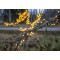 700 LED valguskett BERRY MINI 14m soe valge 472-52 Star Trading