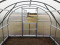 Siltumnīca KLASIKA 30 - 3 x 10m - 6mm polikarbonāta 4779037490486 KLASIKA GREENHOUSE