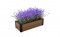 Istutuskast Maple Trough 106x52x32cm pruun