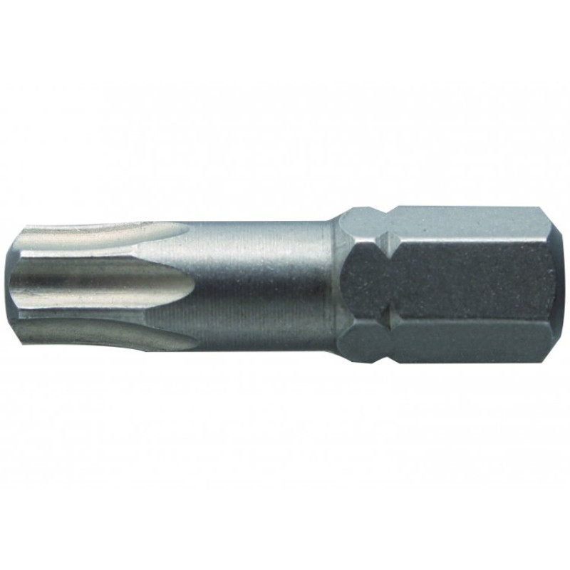 Бита-отвертка TORX 30, 25мм, S2, 2 шт., в блистере, HT1S366 HOGERT