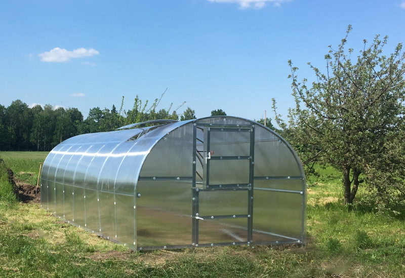 Siltumnīca BALTIC LT 3 x 8m - 6mm polikarbonāta 4779037491278 KLASIKA GREENHOUSE