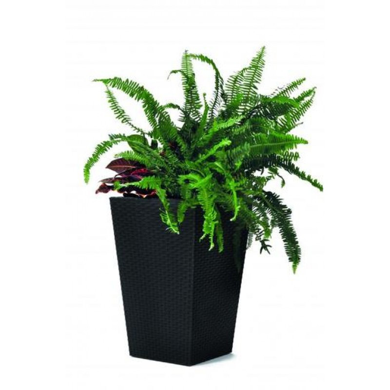 Lillepott Rattan Planter S 23,6L hall 29192300939 KETER