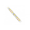 LED juostelė FLASH 5050, 300 LED, 4000K, 72W, IP65 10mm, 5m ritė, DC12V LD-5050-300-65-NE4 GTV