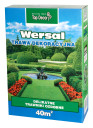 Muruseeme, dekoratiivne segu WERSAL 1kg 40m2 TD9415 GREENMILL