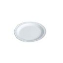 Melamine plate, R390300, 390300 WACA