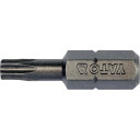 Atsuktuvų galvutės 1/4 25mm Torx T20 10 vnt. YT-78143 YATO